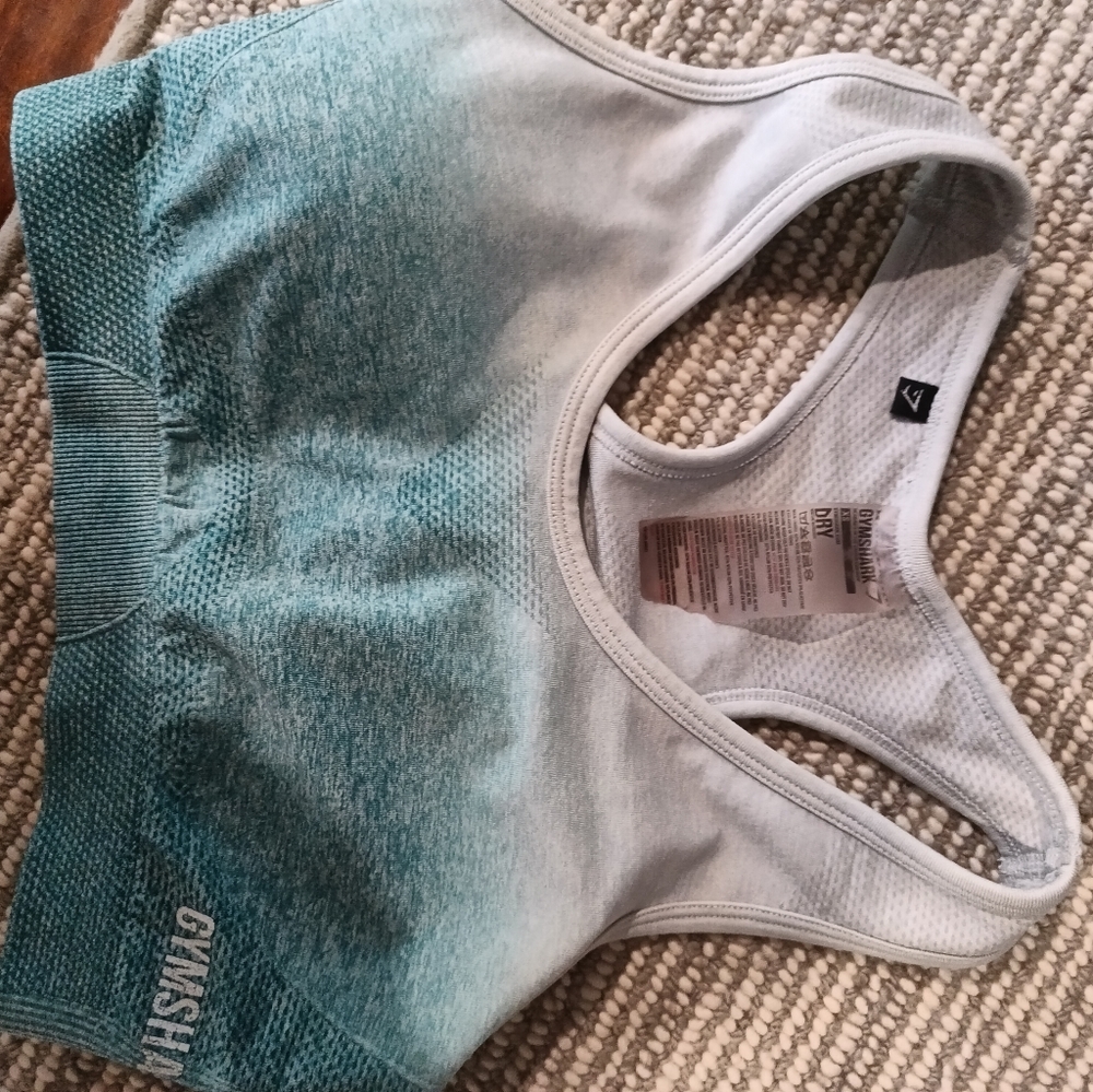 Gymshark original Adapt Ombre Seamless sports bra